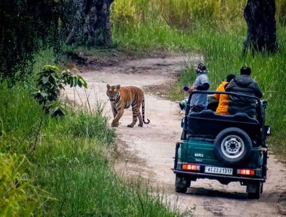 Kaziranga, Assam